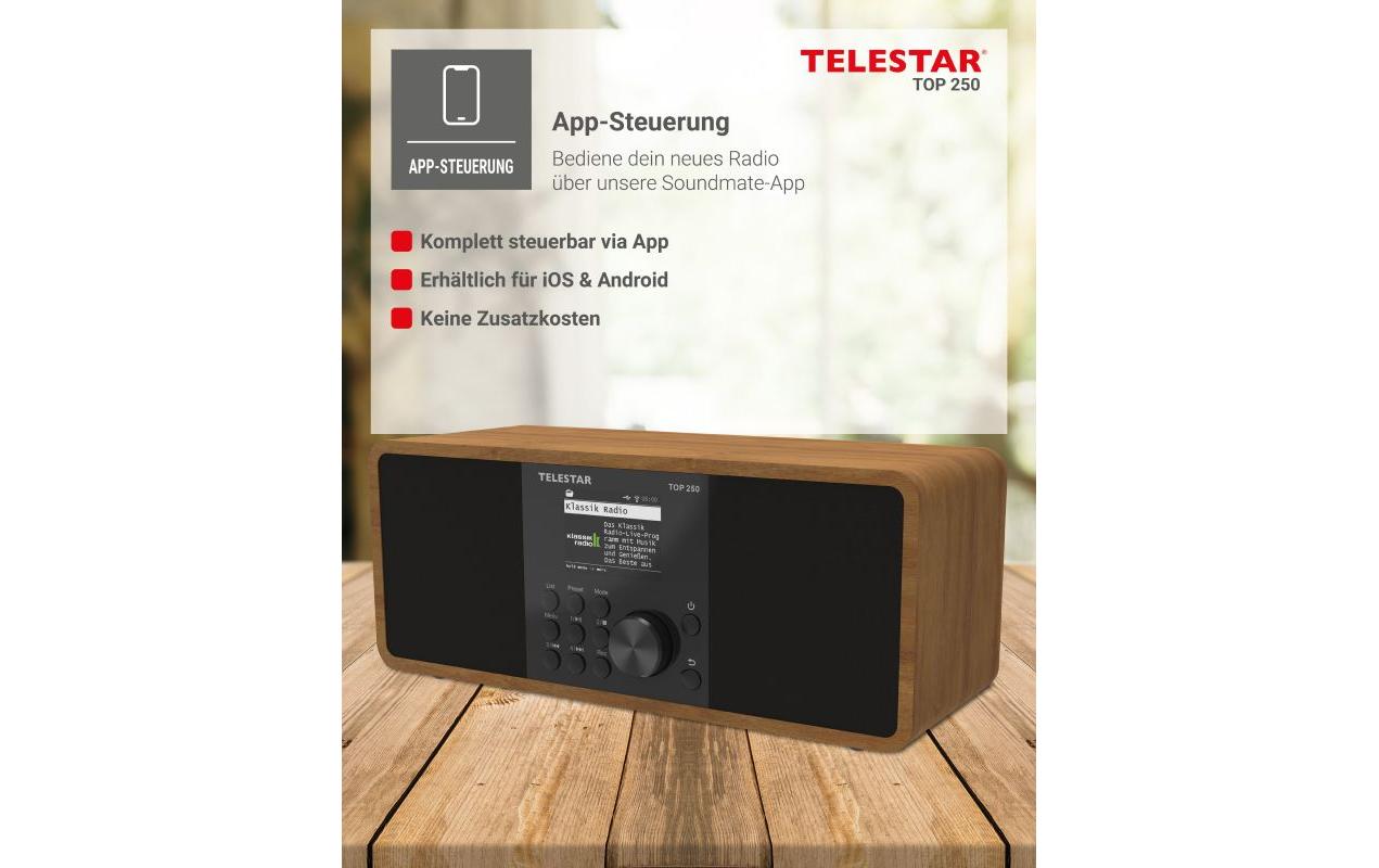 Telestar TOP 250 – DAB-/Internetradio – Tischradio – DAB+, UKW, USB, Bluetooth – Braun