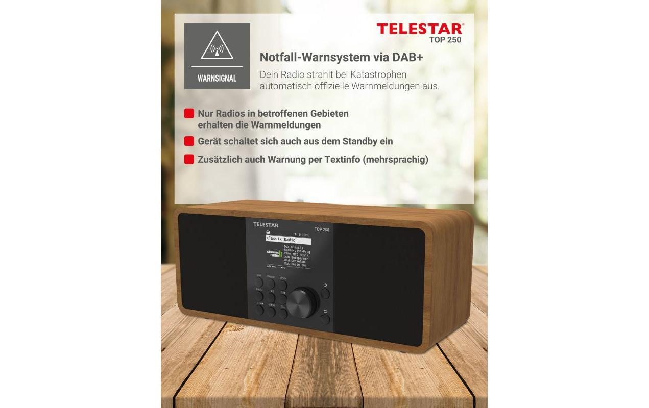 Telestar TOP 250 – DAB-/Internetradio – Tischradio – DAB+, UKW, USB, Bluetooth – Braun