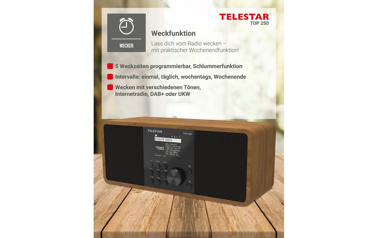 Telestar TOP 250 – DAB-/Internetradio – Tischradio – DAB+, UKW, USB, Bluetooth – Braun
