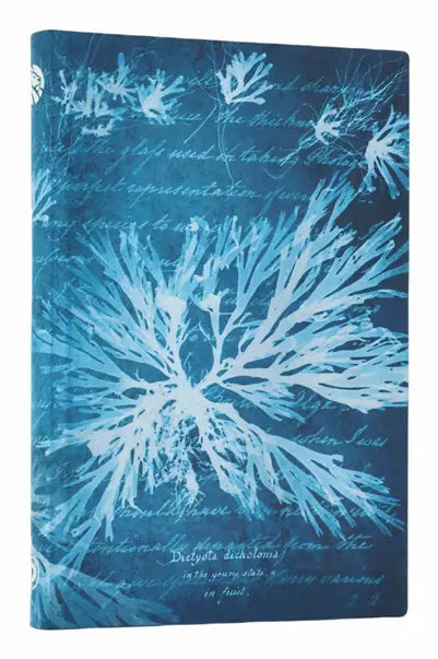 Paperblanks Notizbuch, 90 × 140 mm, liniert, Fadenheftung, Hardcover, 80 Seiten, 80 g/m² – grünblau