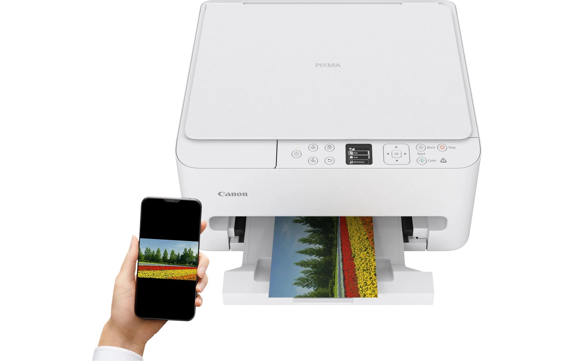 Canon PIXMA TS6550I – Farbiges Tintenstrahl-MFP A4, 3-in-1 – WLAN