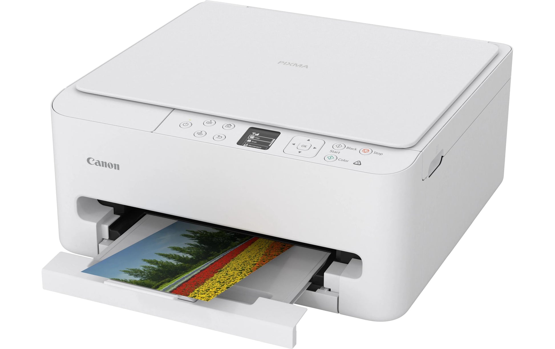 Canon PIXMA TS6550I – Farbiges Tintenstrahl-MFP A4, 3-in-1 – WLAN