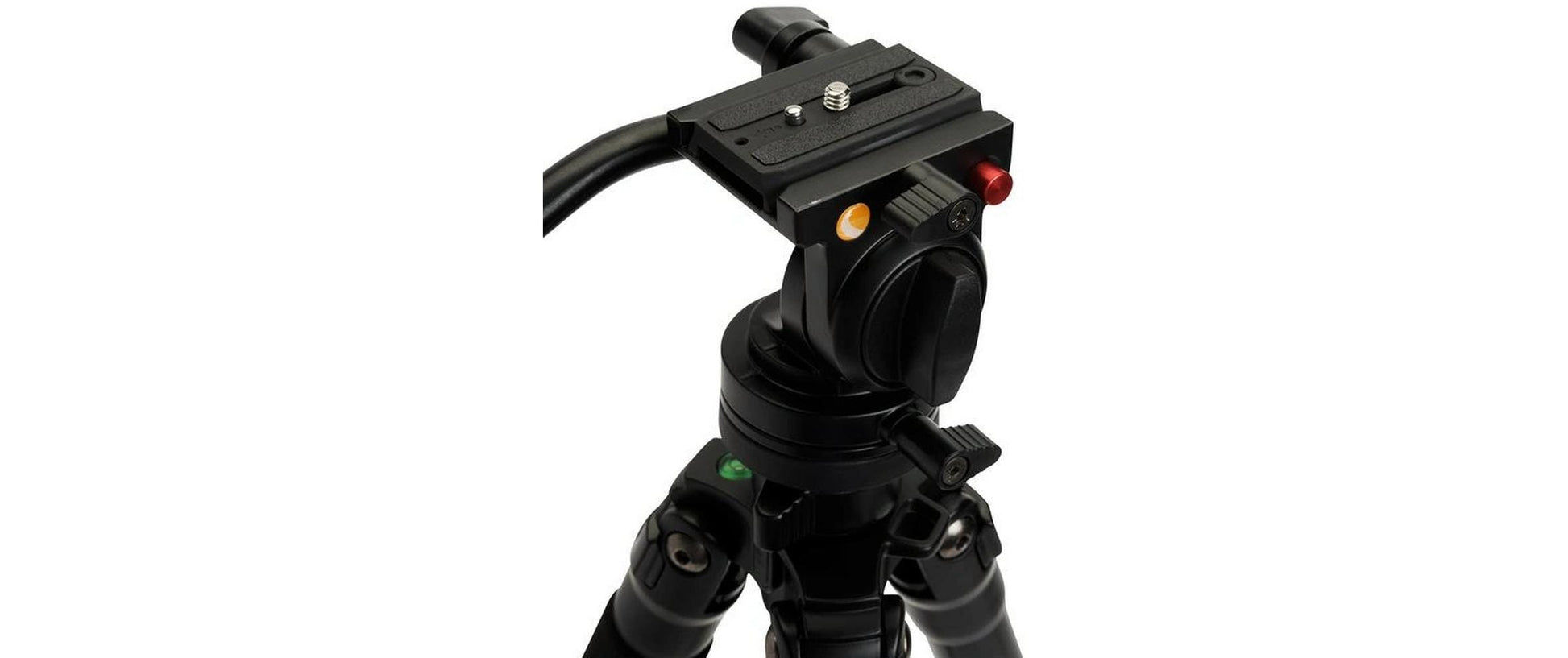 Celestron 82052 Stativ – bis 174,6 cm, Traglast 4 kg, 4 Segmente, eingeklappt 62,8 cm – Schwarz