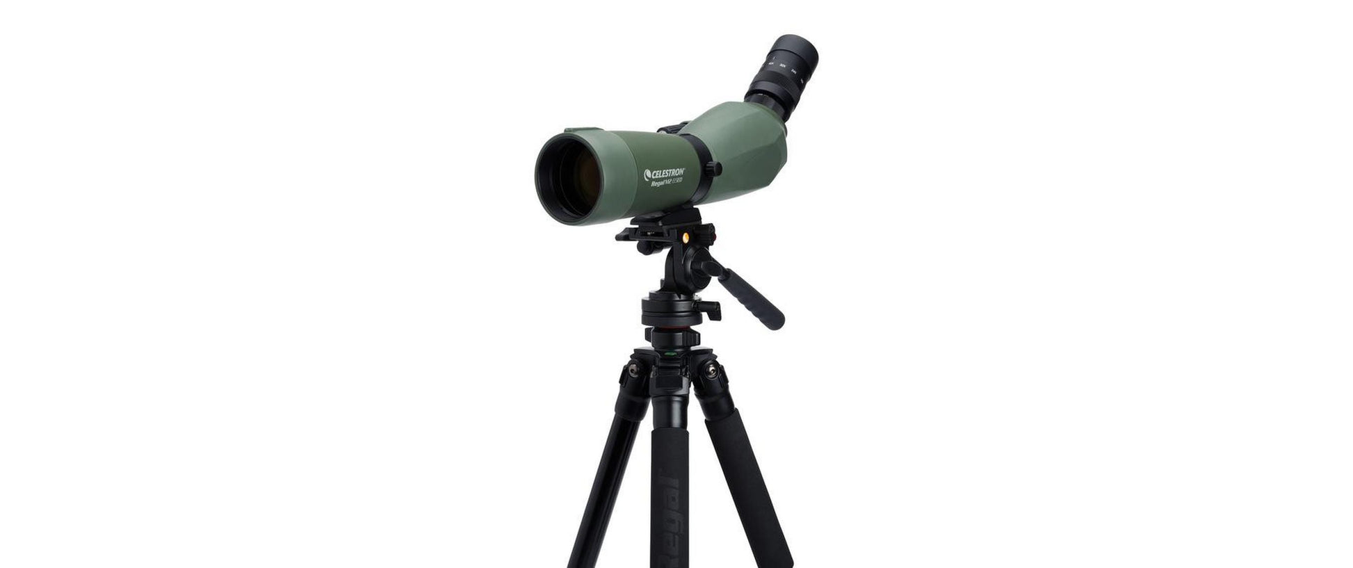 Celestron Regal M2 65ED Spektiv – 48×, 65 mm Objektiv, wasserdicht, schwarz/grün