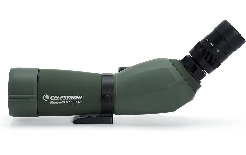 Celestron Regal M2 65ED Spektiv – 48×, 65 mm Objektiv, wasserdicht, schwarz/grün