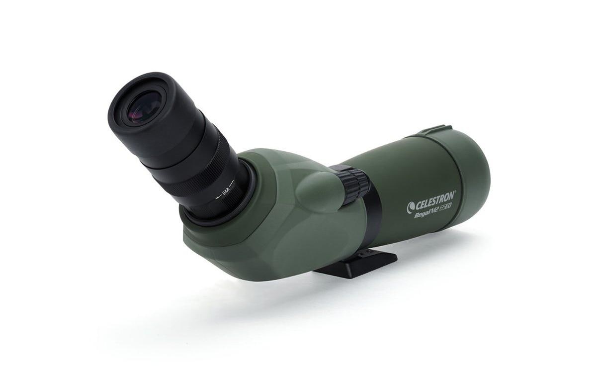 Celestron Regal M2 65ED Spektiv – 48×, 65 mm Objektiv, wasserdicht, schwarz/grün