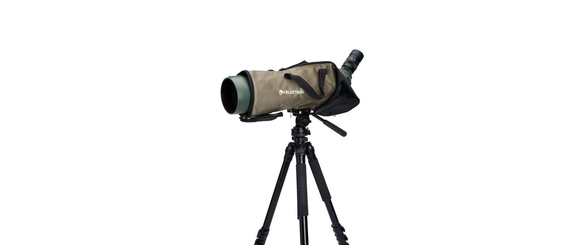 Celestron Regal M2 100ED – 22–67×, 100 mm Objektiv, BaK-4, wasserfest, grün