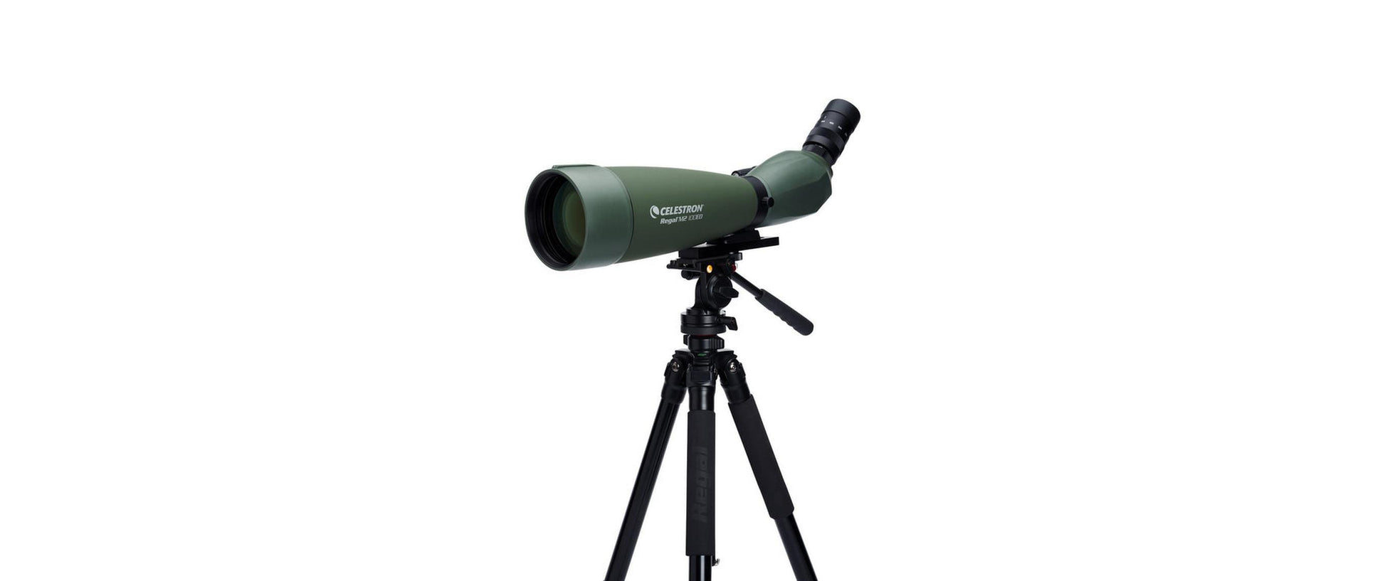 Celestron Regal M2 100ED – 22–67×, 100 mm Objektiv, BaK-4, wasserfest, grün