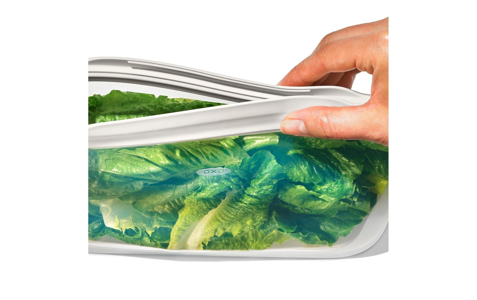 OXO Vorratsdose 1,8 l, 30,5 × 10,7 × 21 cm, Silikon, Transparent/Weiss