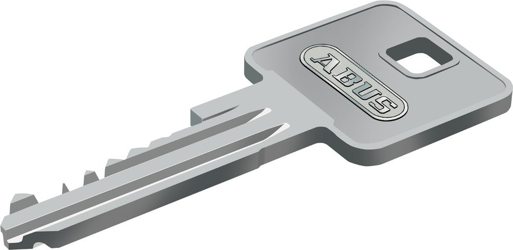 ABUS E60NP 10/30 vs. Türzylinder – Türe, Silber, 30×40×40 mm