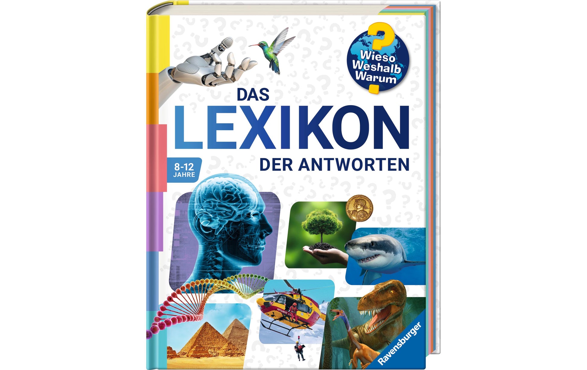 Ravensburger Buch – WWW Lexikon der Antworten, Hardcover, 312 Seiten, Deutsch, 8–12 Jahre