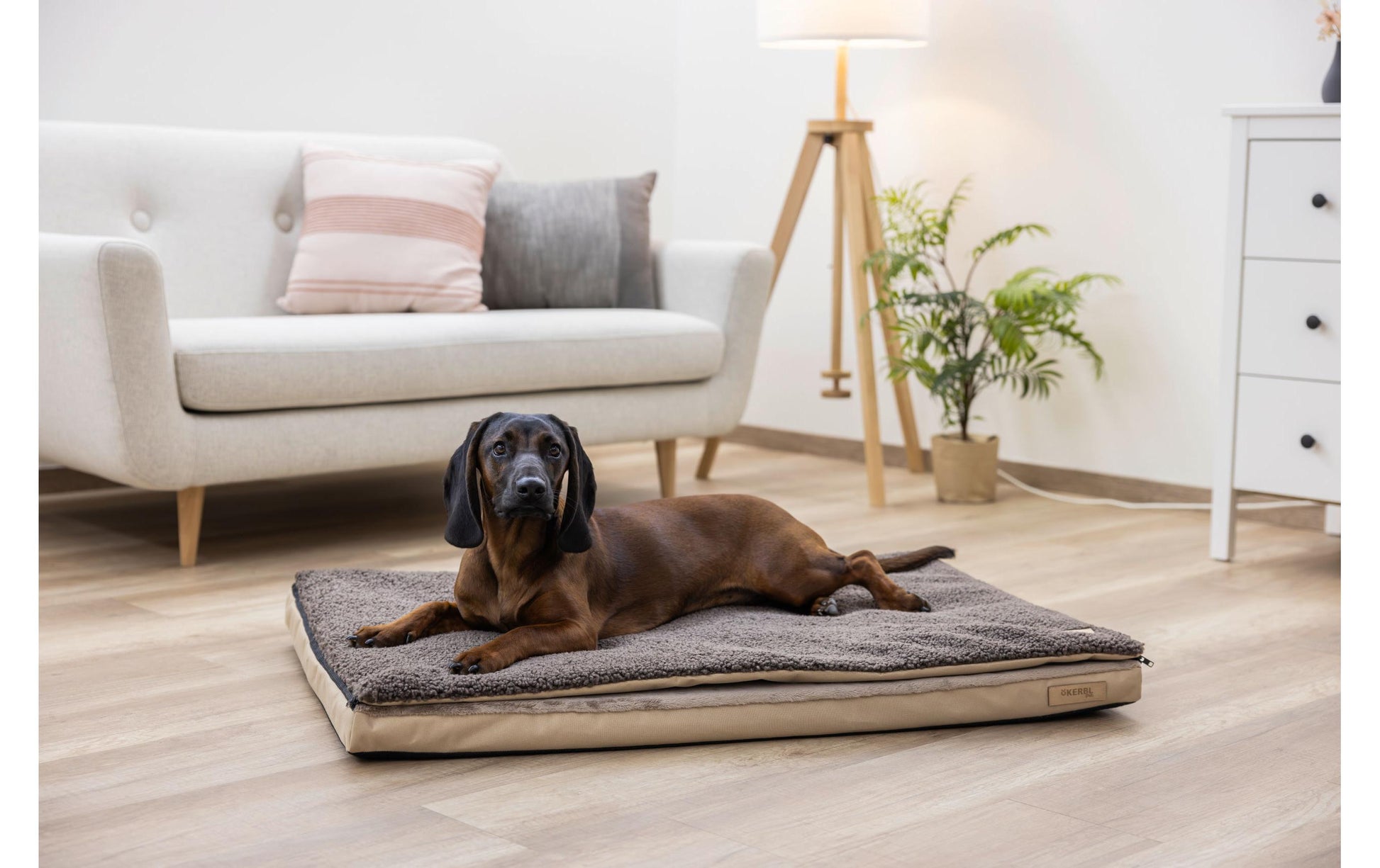 Kerbl Wohndecke – Baumwolle, Polyester, Beige/Braun – 100 × 65 cm