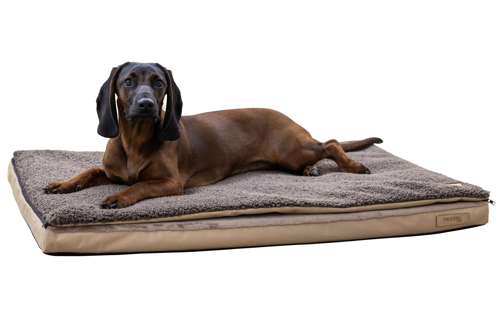 Kerbl Wohndecke – Baumwolle, Polyester, Beige/Braun – 100 × 65 cm