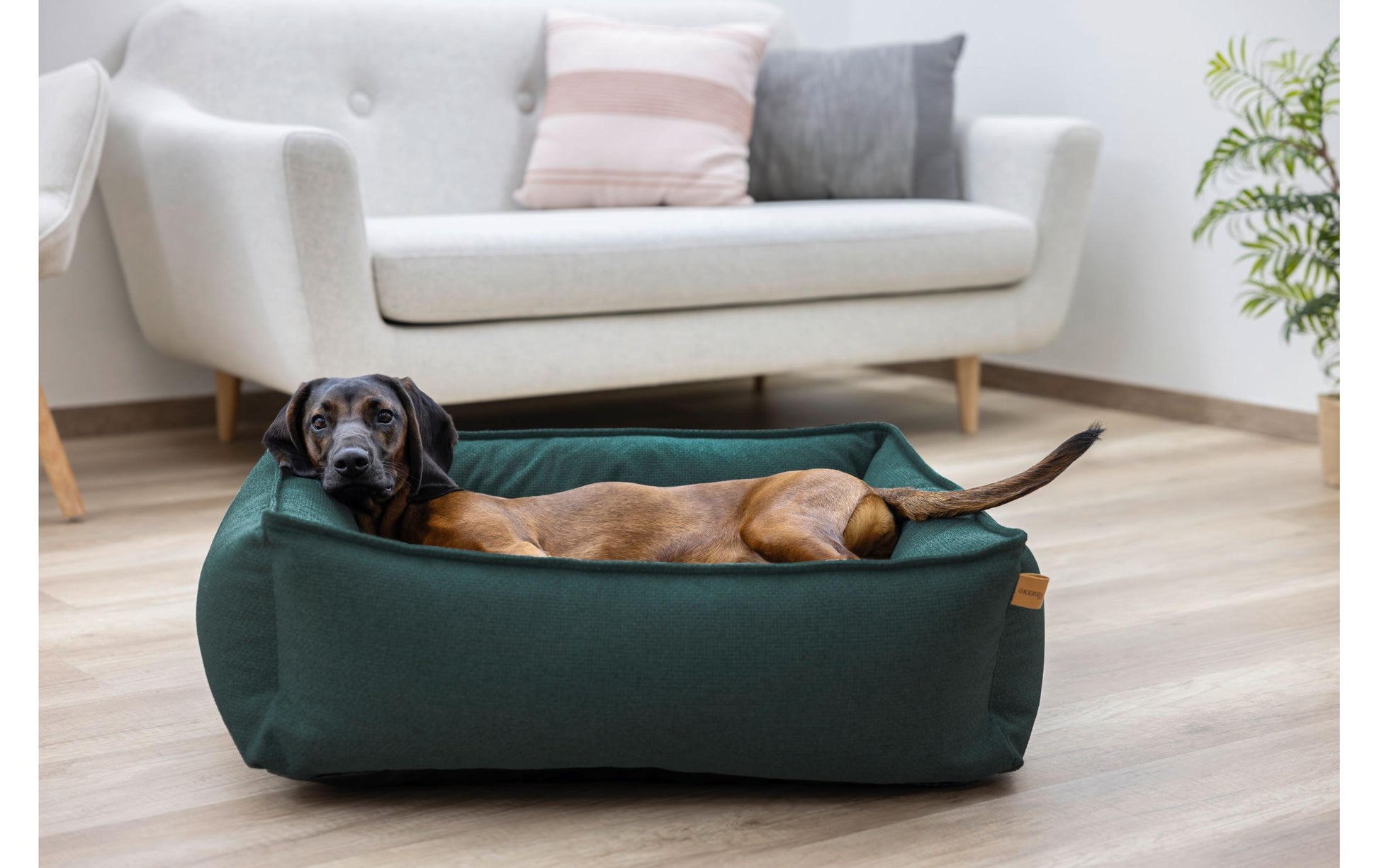 Kerbl Kuschelbett Oliver – 110 × 85 × 26 cm, Polyester, abnehmbarer Bezug, waschbar, grün, für Hunde