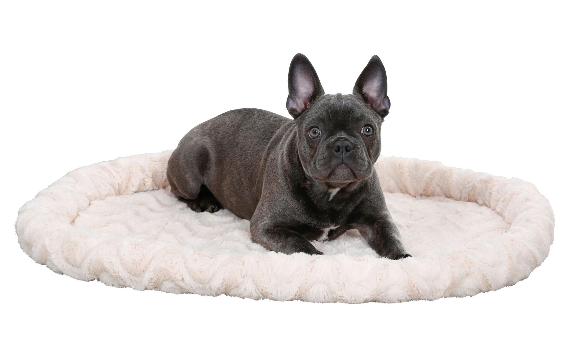 Kerbl Kissen (Tierbett) – 54 × 45 cm, Plüsch/Polyester, Beige