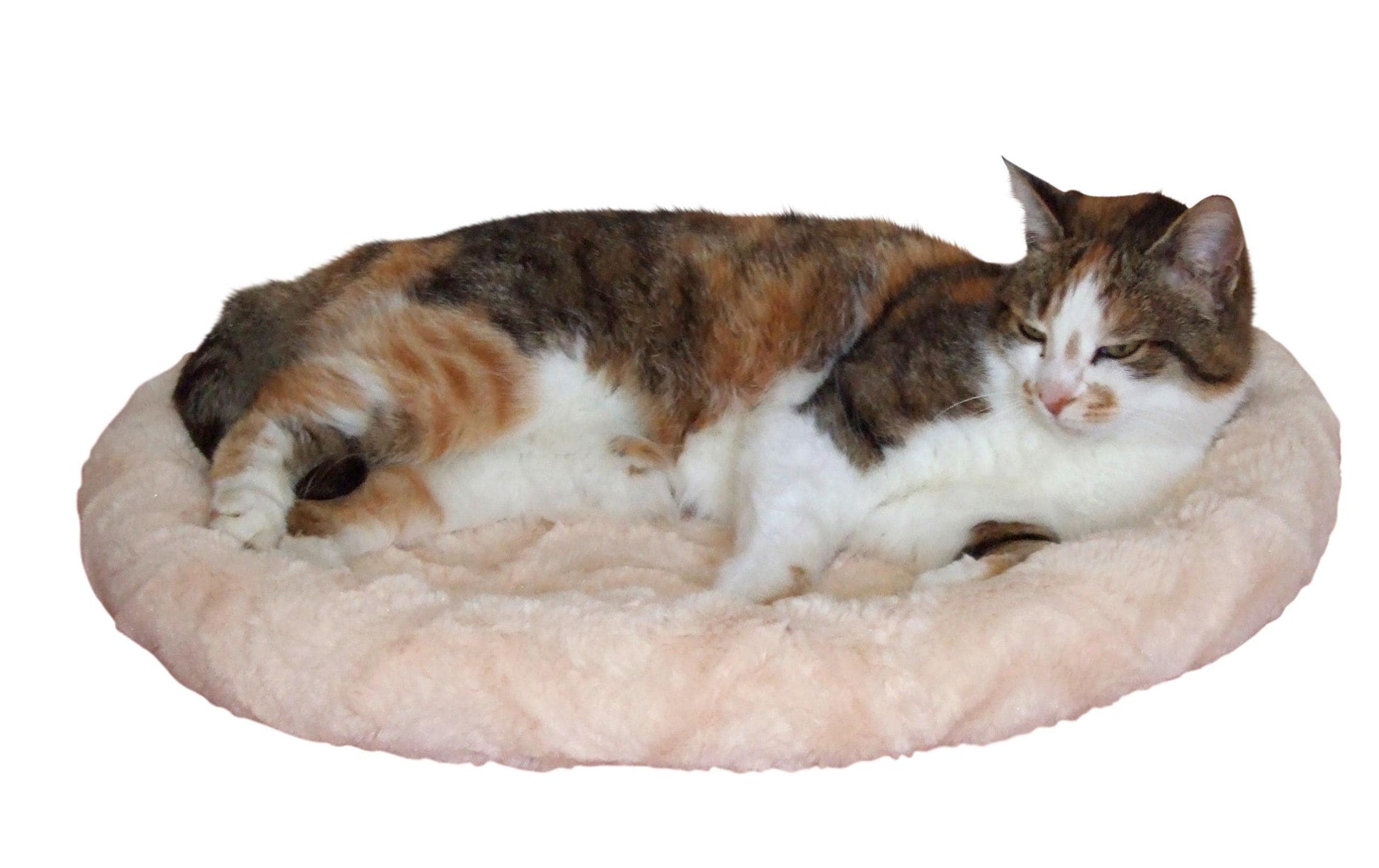 Kerbl Kissen (Tierbett) – 54 × 45 cm, Plüsch/Polyester, Beige