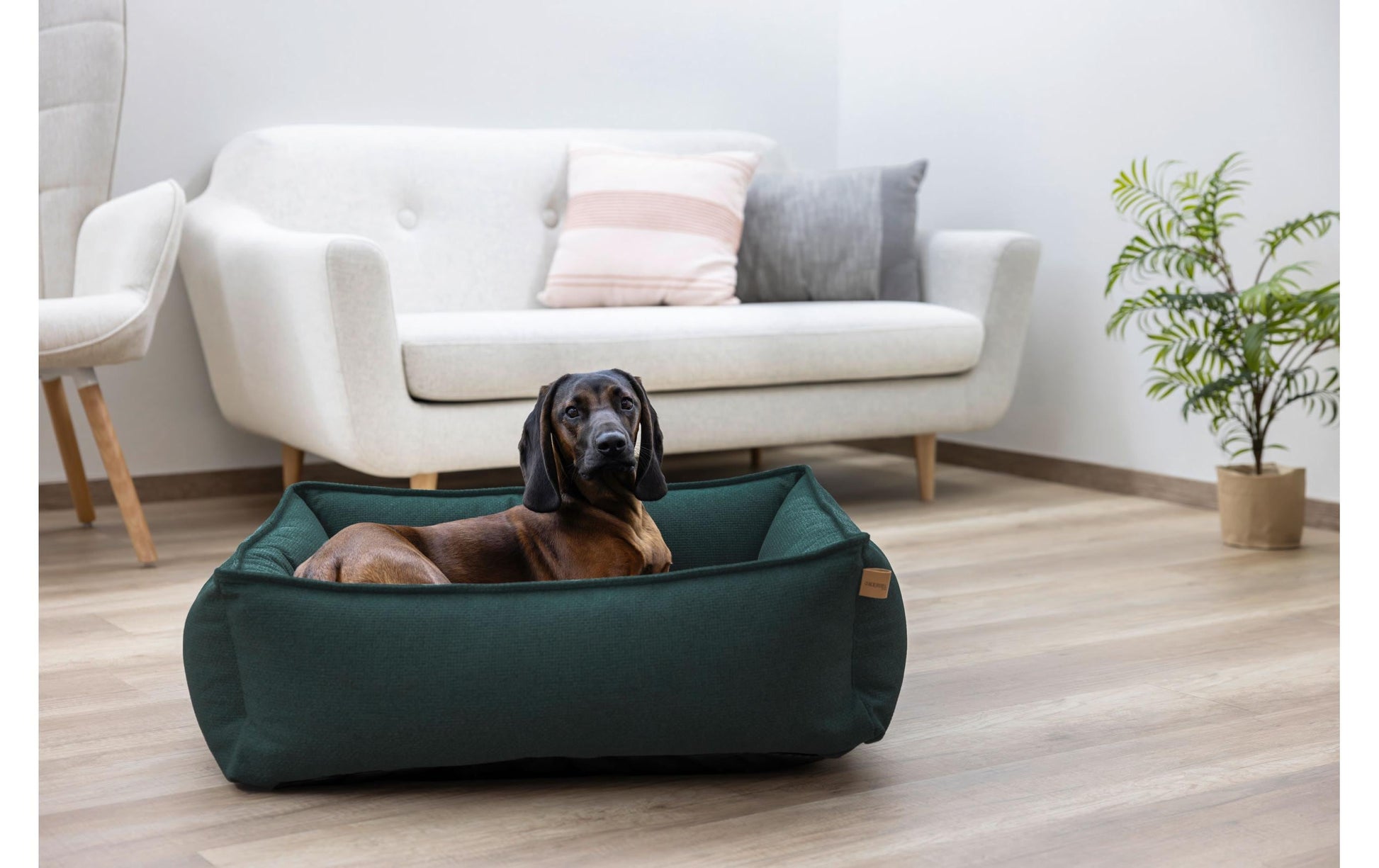 Kerbl Oliver Kuschelbett – 70 × 60 cm, Polyester, abnehmbarer Bezug, grün