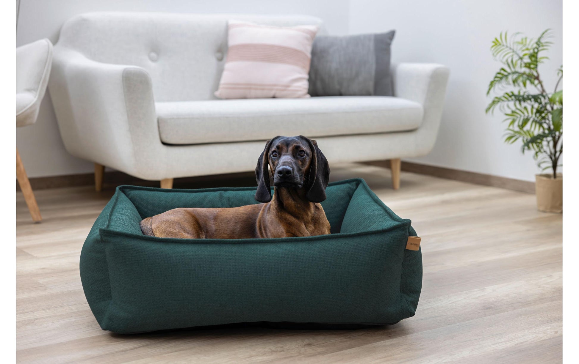 Kerbl Kuschelbett Oliver – 110 × 85 × 26 cm, Polyester, abnehmbarer Bezug, waschbar, grün, für Hunde