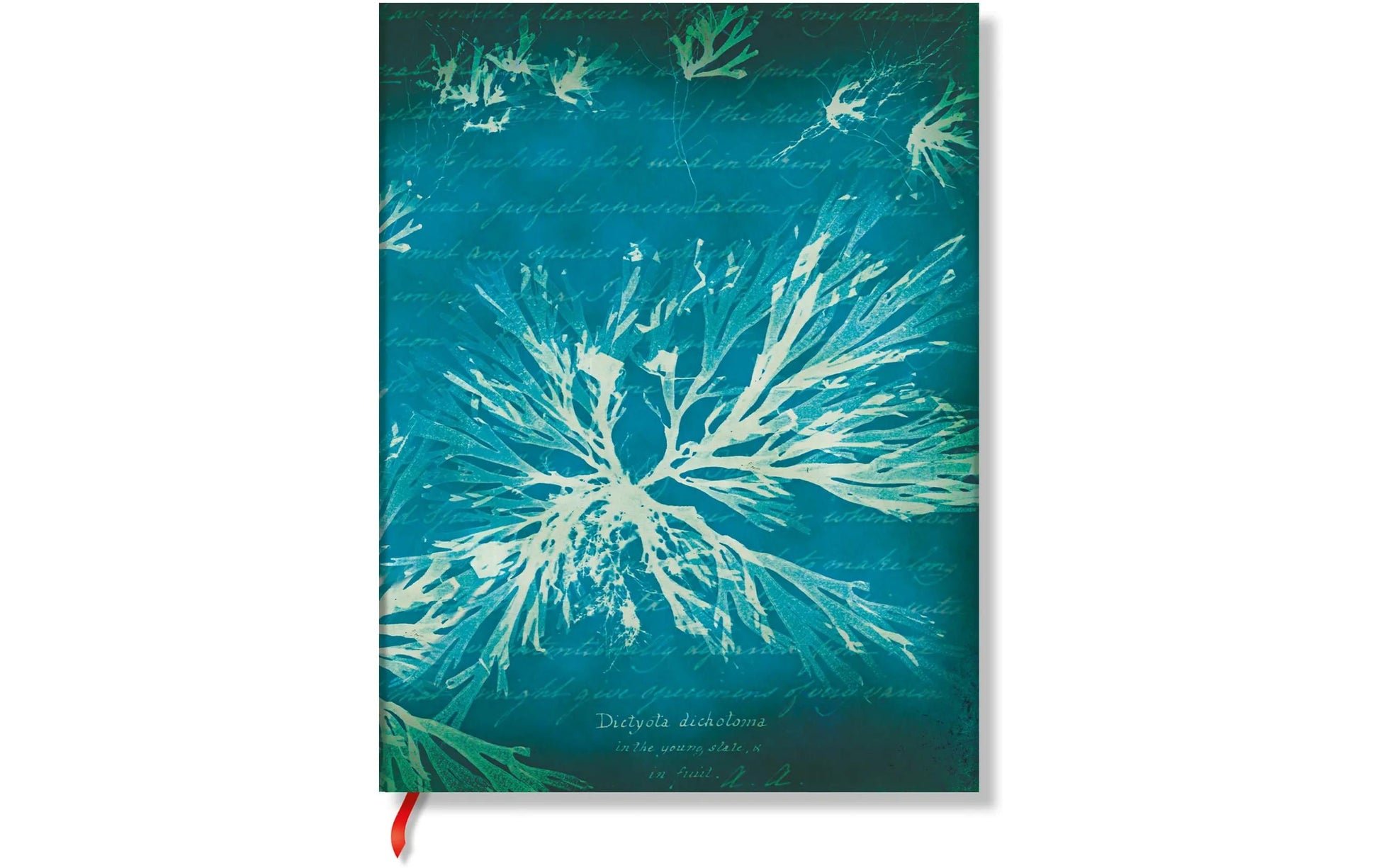 Paperblanks Notizbuch, 175 × 225 mm, liniert, gebunden, Hardcover, 80 Seiten – Meer-Motiv, grünblau