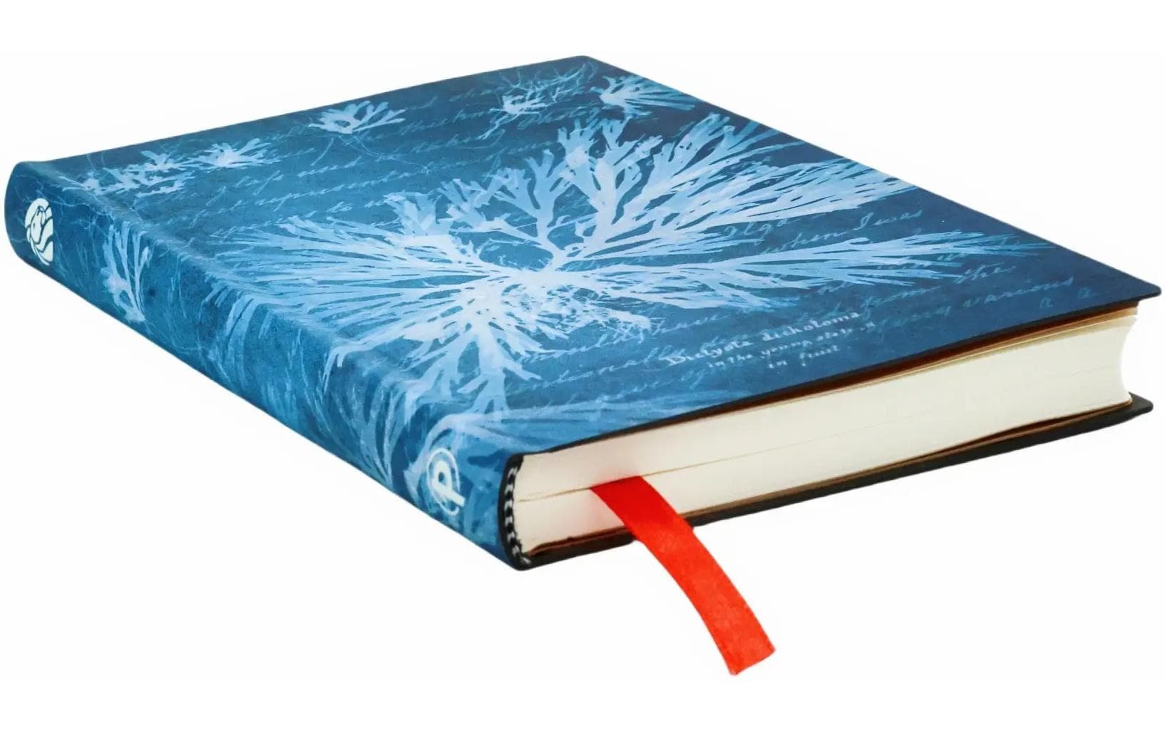Paperblanks Notizbuch, 90 × 140 mm, liniert, Fadenheftung, Hardcover, 80 Seiten, 80 g/m² – grünblau