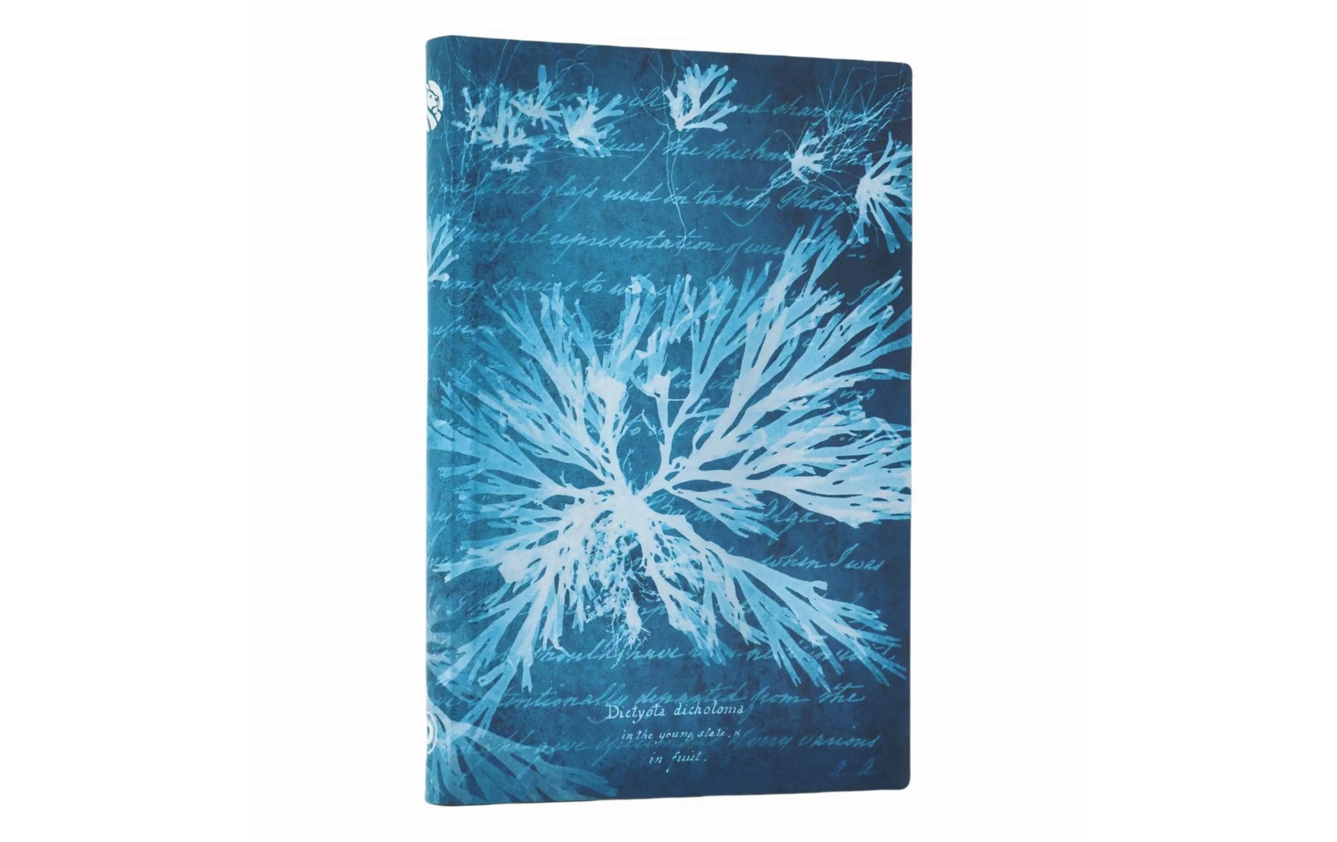 Paperblanks Notizbuch, 90 × 140 mm, liniert, Fadenheftung, Hardcover, 80 Seiten, 80 g/m² – grünblau