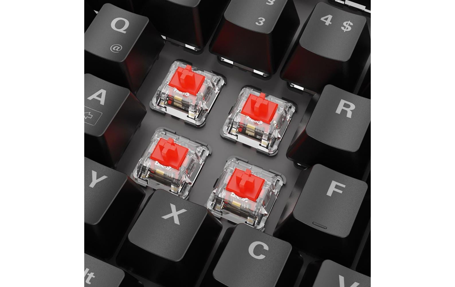 Sharkoon Skiller Mech SGK20 – Gaming-Tastatur – Mechanisch – Kabelgebunden – USB-A – QWERTZ (DE) – RGB