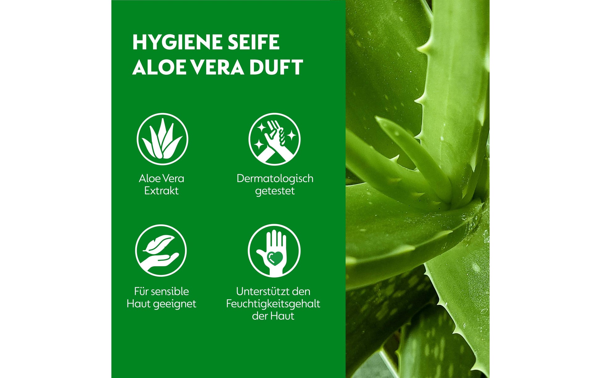 Dettol No Touch automatischer Seifenspender Starter-Set – Silber, Gerät + Nachfüller 250 ml, Aloe Vera