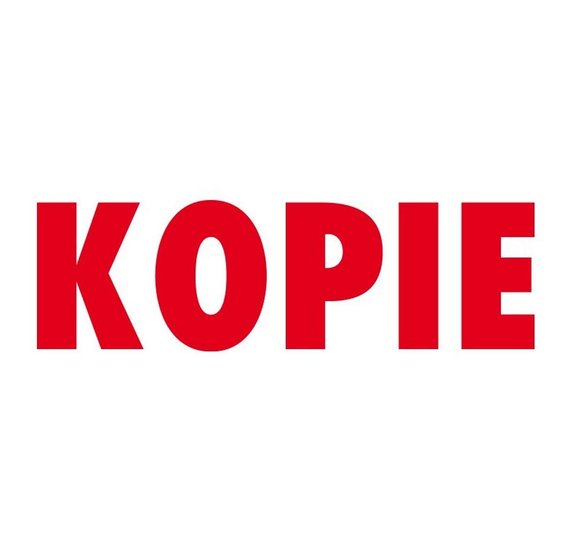 Colop Printer 20 Green Line – Selbstfärbender Textstempel zum Selbersetzen – Rot