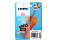 Epson Tintenpatrone 250, Magenta, XL, 5,9 ml, Original – für Expression Photo XP-980