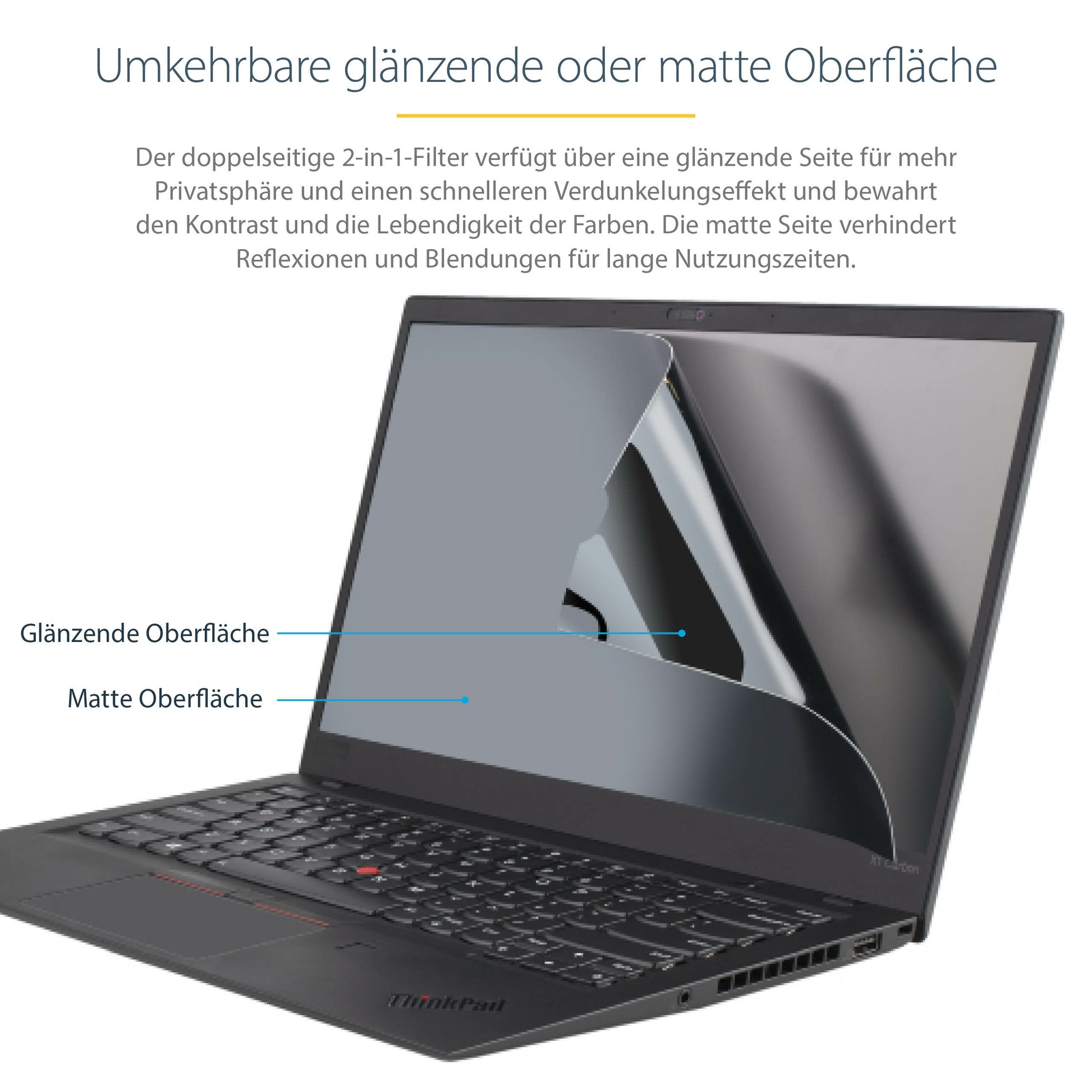 StarTech.com Displayschutz für 17,3" Laptops