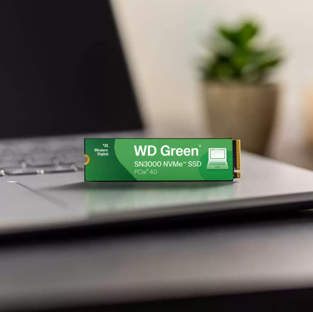 Western Digital Green SN3000 WDS500G4G0E-00CPS0 – für M.2 2280, PCIe 4.0 NVMe
