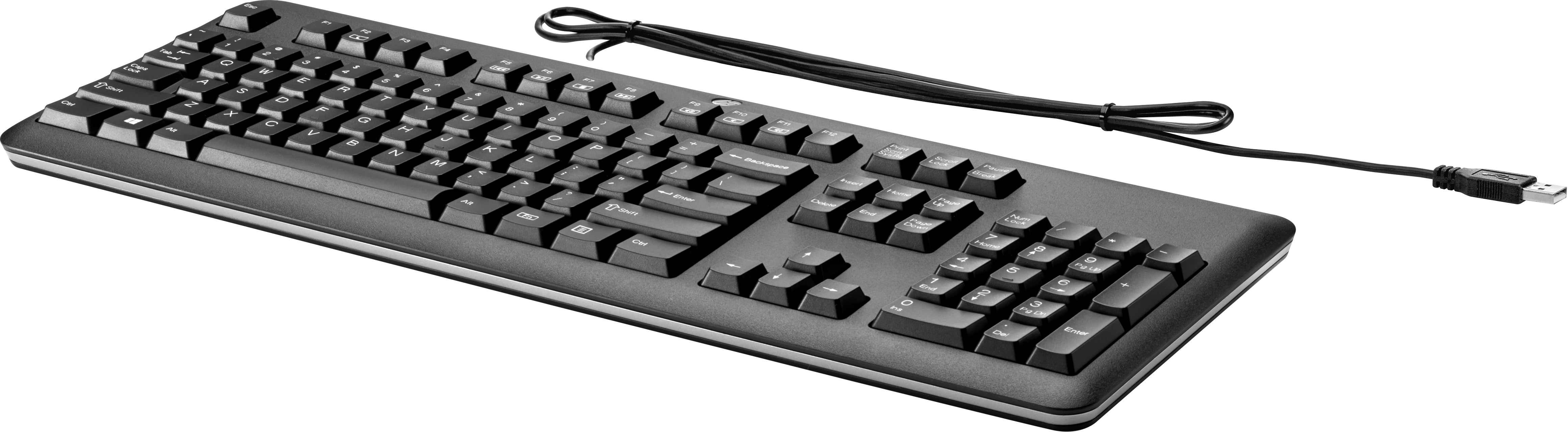 HP Tastatur – USB kabelgebunden – Schwarz