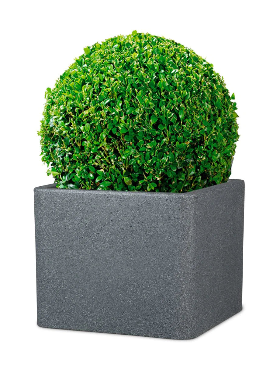 Scheurich Topfpflanzer – Ø 38 × 33 cm – Kunststoff, schwarz, granit