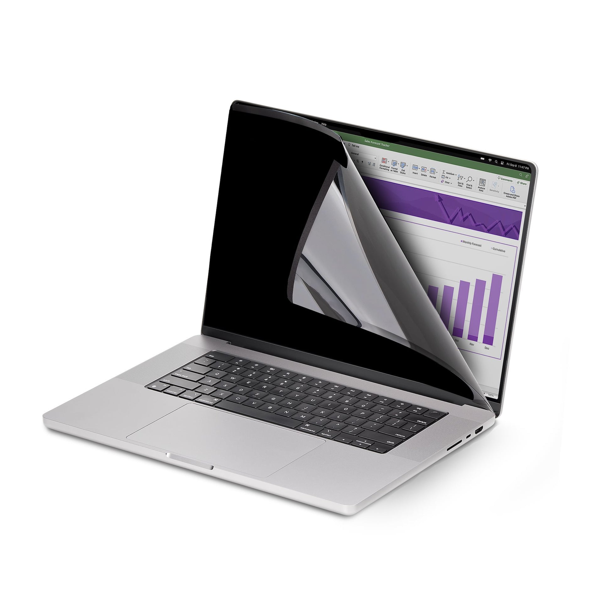 StarTech.com Displayschutz für MacBook 14"