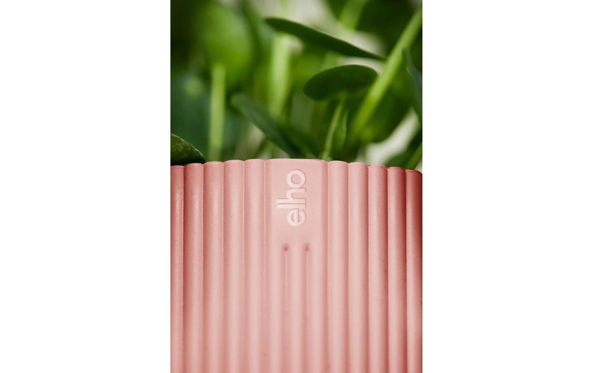 elho Schale – Kunststoff, rosa – Ø 30 × 27 cm