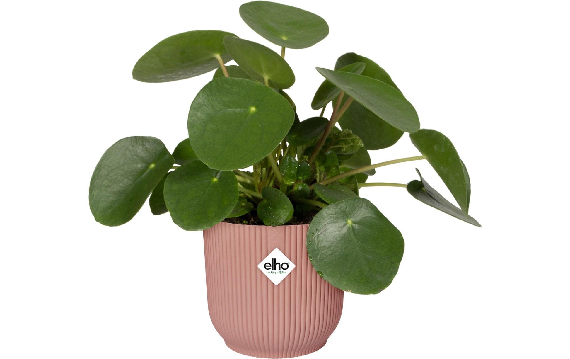 elho Schale – Kunststoff, rosa – Ø 30 × 27 cm
