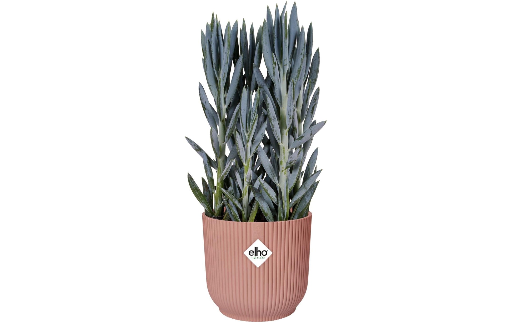 elho Schale – Kunststoff, rosa – Ø 30 × 27 cm