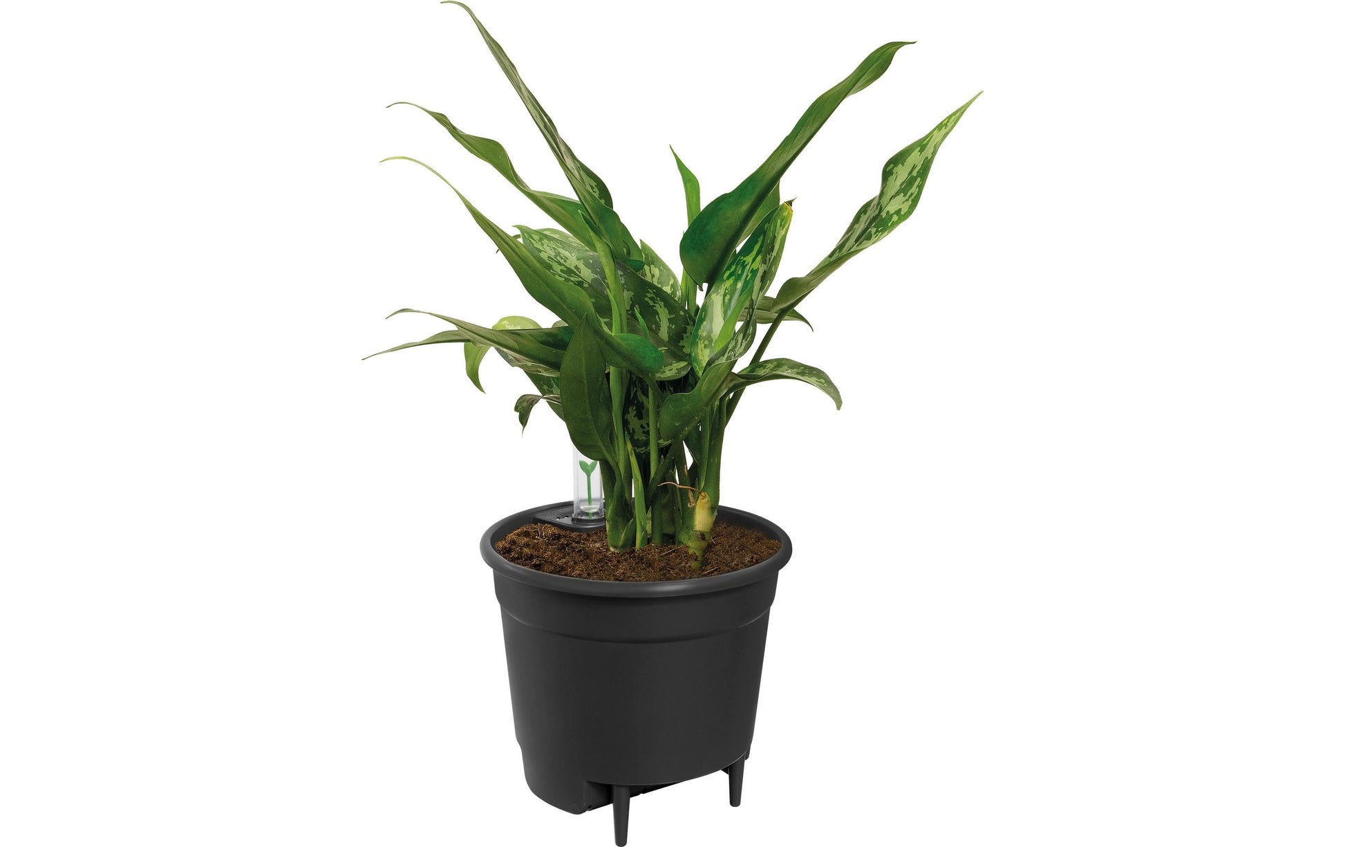 elho Selbstbewässerungssystem – Ø 24 cm, 5800 ml – Kunststoff, schwarz
