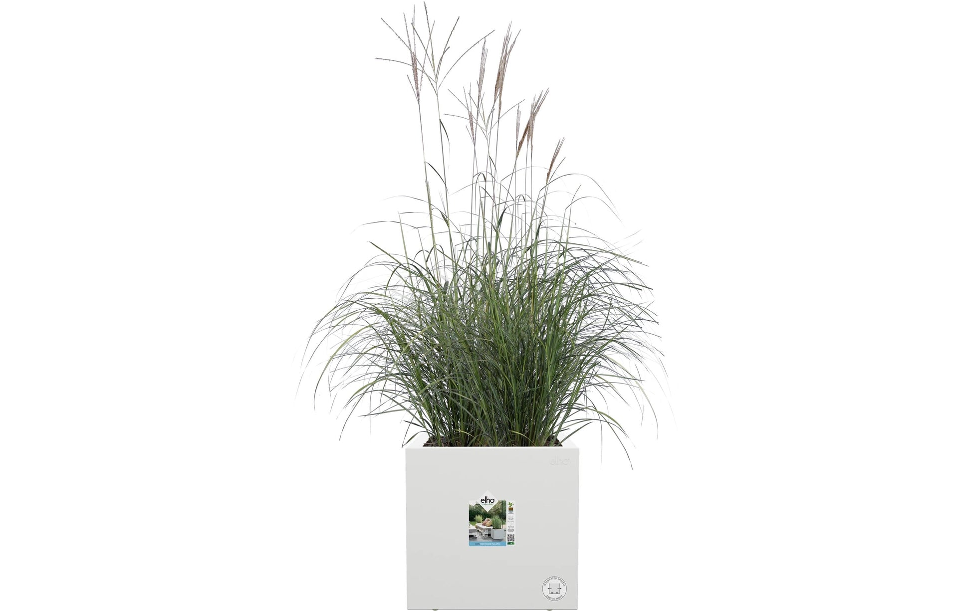 elho Vivo Next Quadrat 30 Pflanztopf – 30 × 29 × 30 cm – Kunststoff, weiss