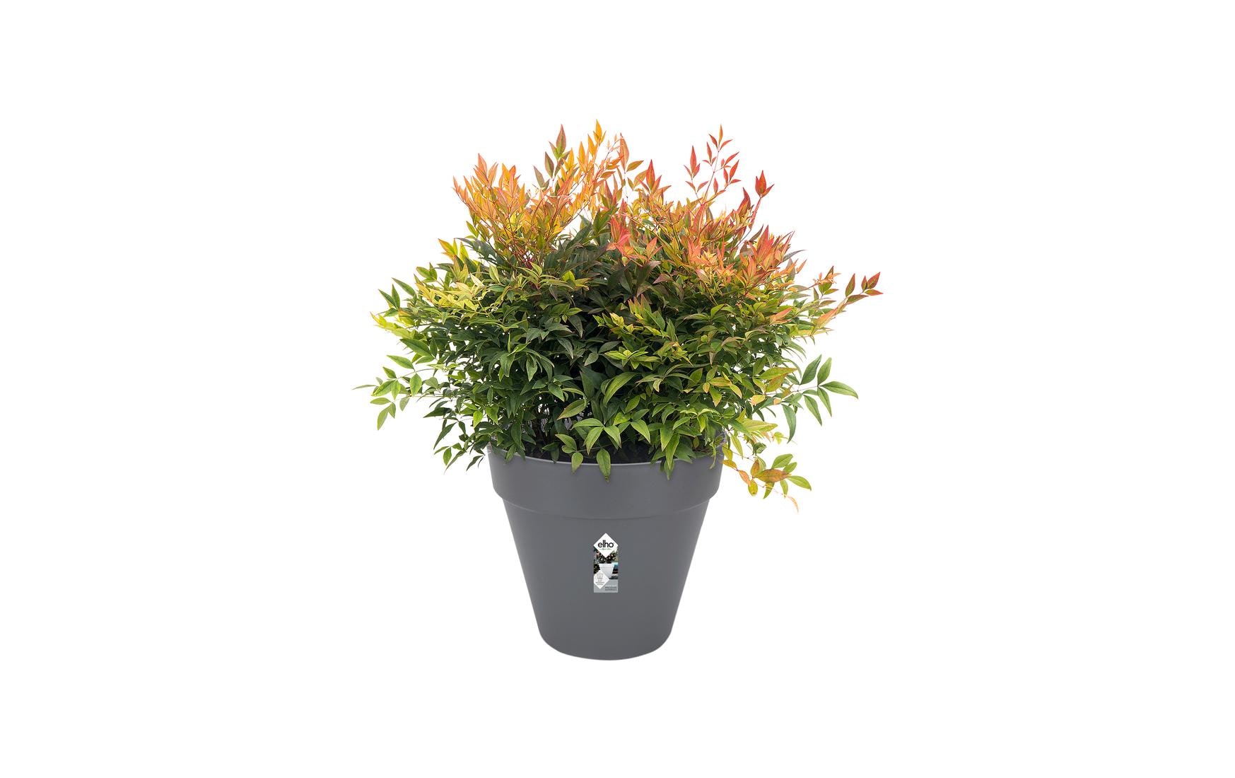 elho Loft Urban Topfpflanzer – Ø 28,5 × 26 cm – Kunststoff, Schwarz
