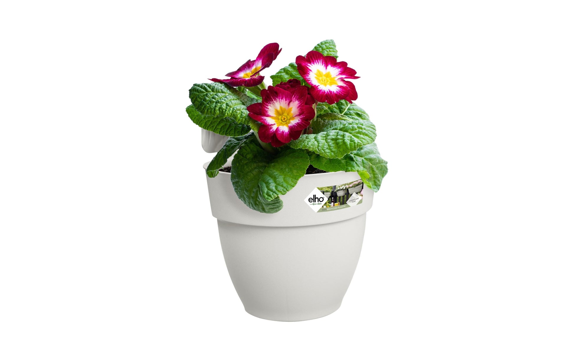 elho Hängeblumentopf – 2800 ml – Kunststoff, Weiss