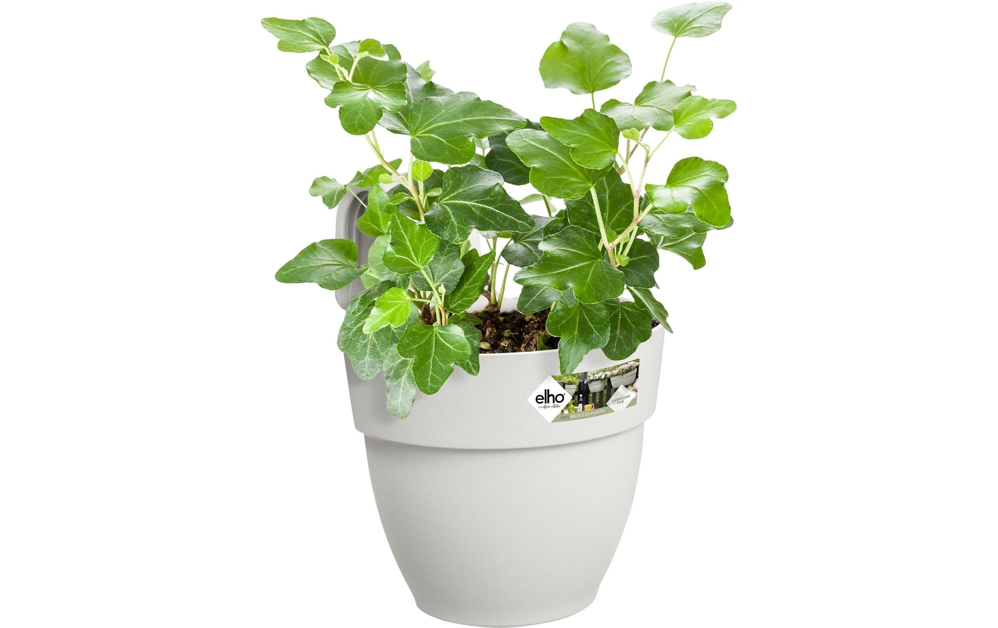 elho Hängeblumentopf – 2800 ml – Kunststoff, Weiss