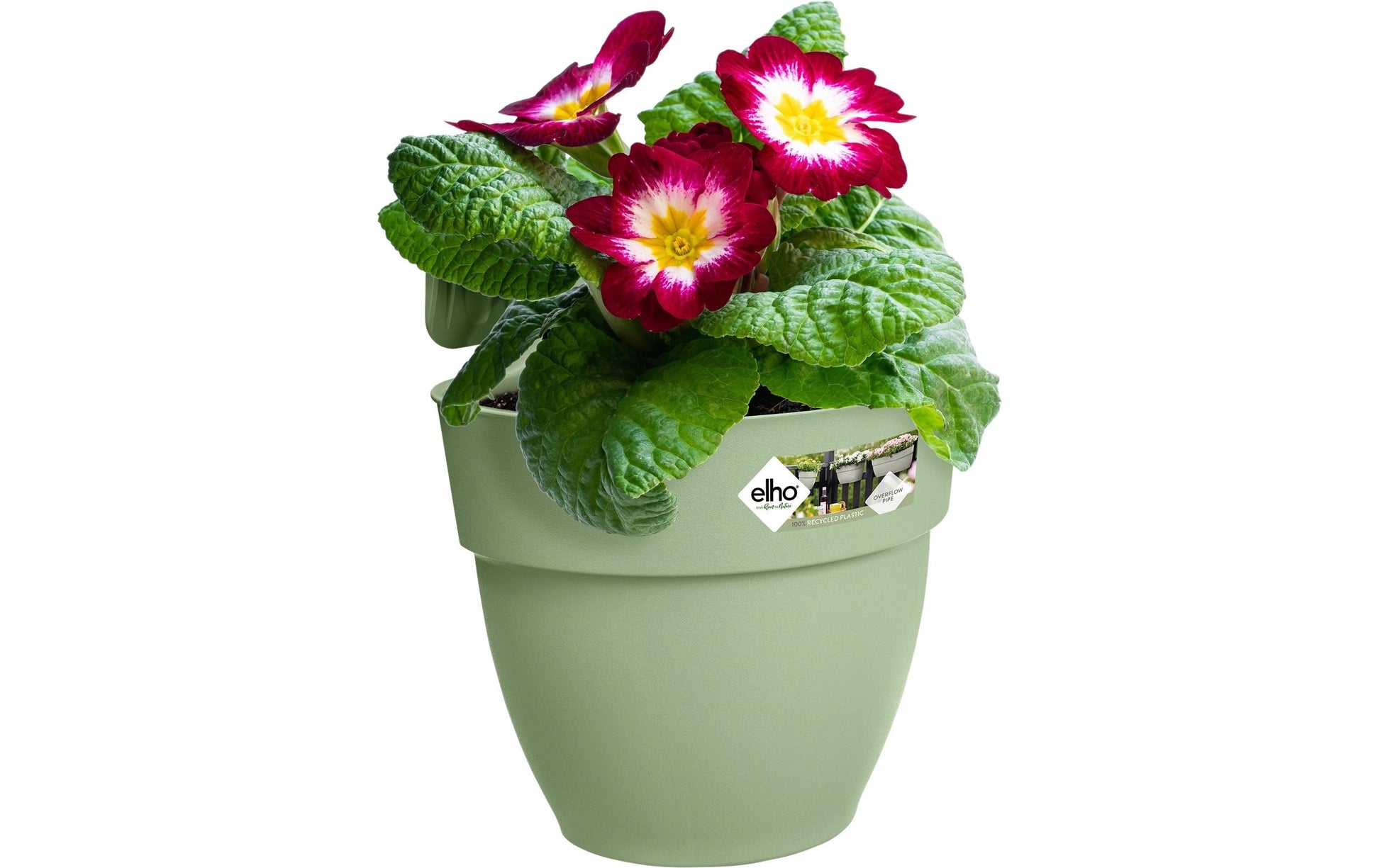 elho Hänge-Blumentopf – 2800 ml – Kunststoff, Grün