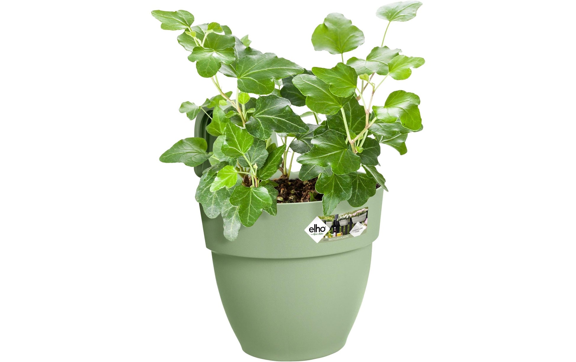 elho Hänge-Blumentopf – 2800 ml – Kunststoff, Grün