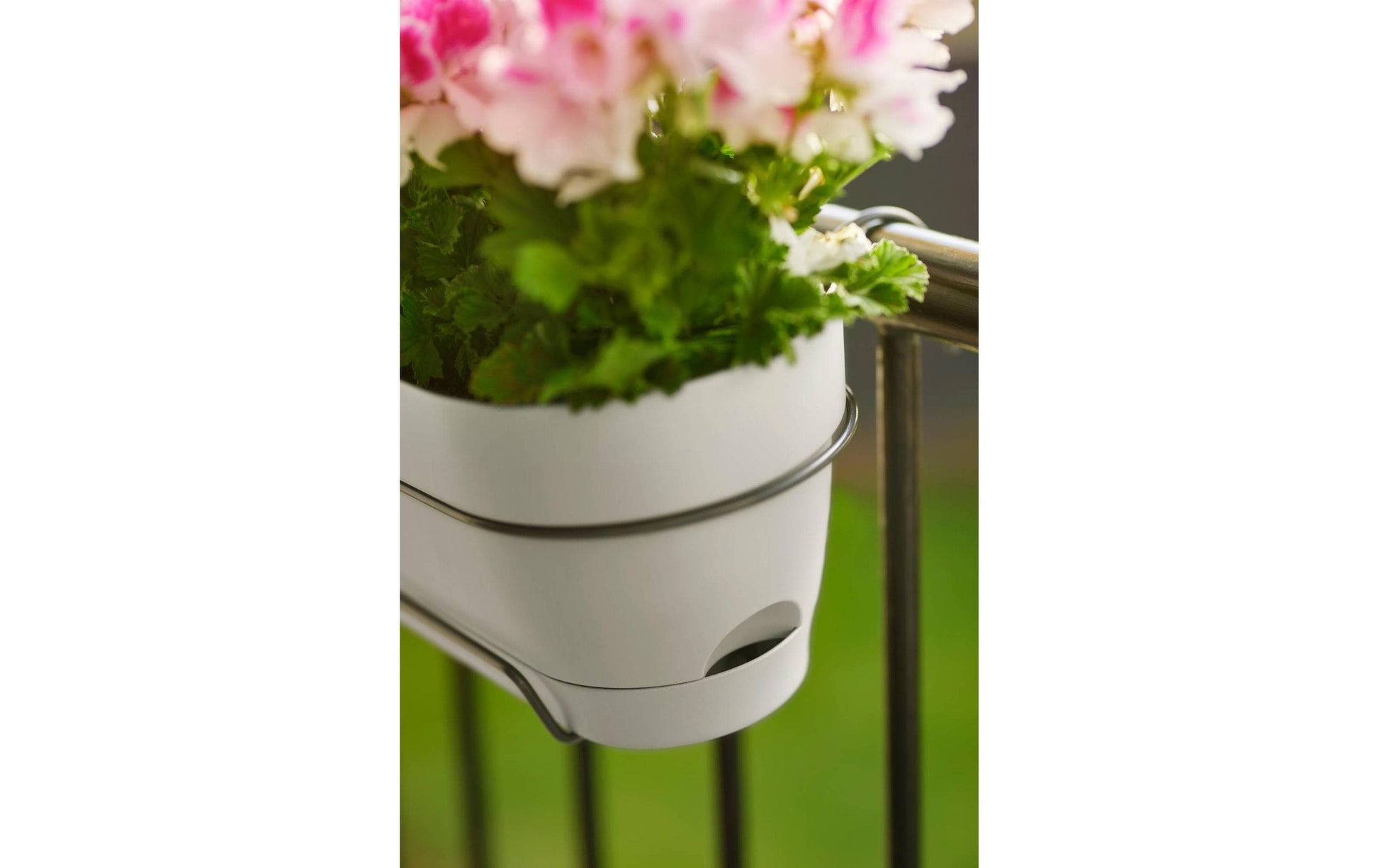elho Campana Balkonkasten – 11 l – Kunststoff, weiss