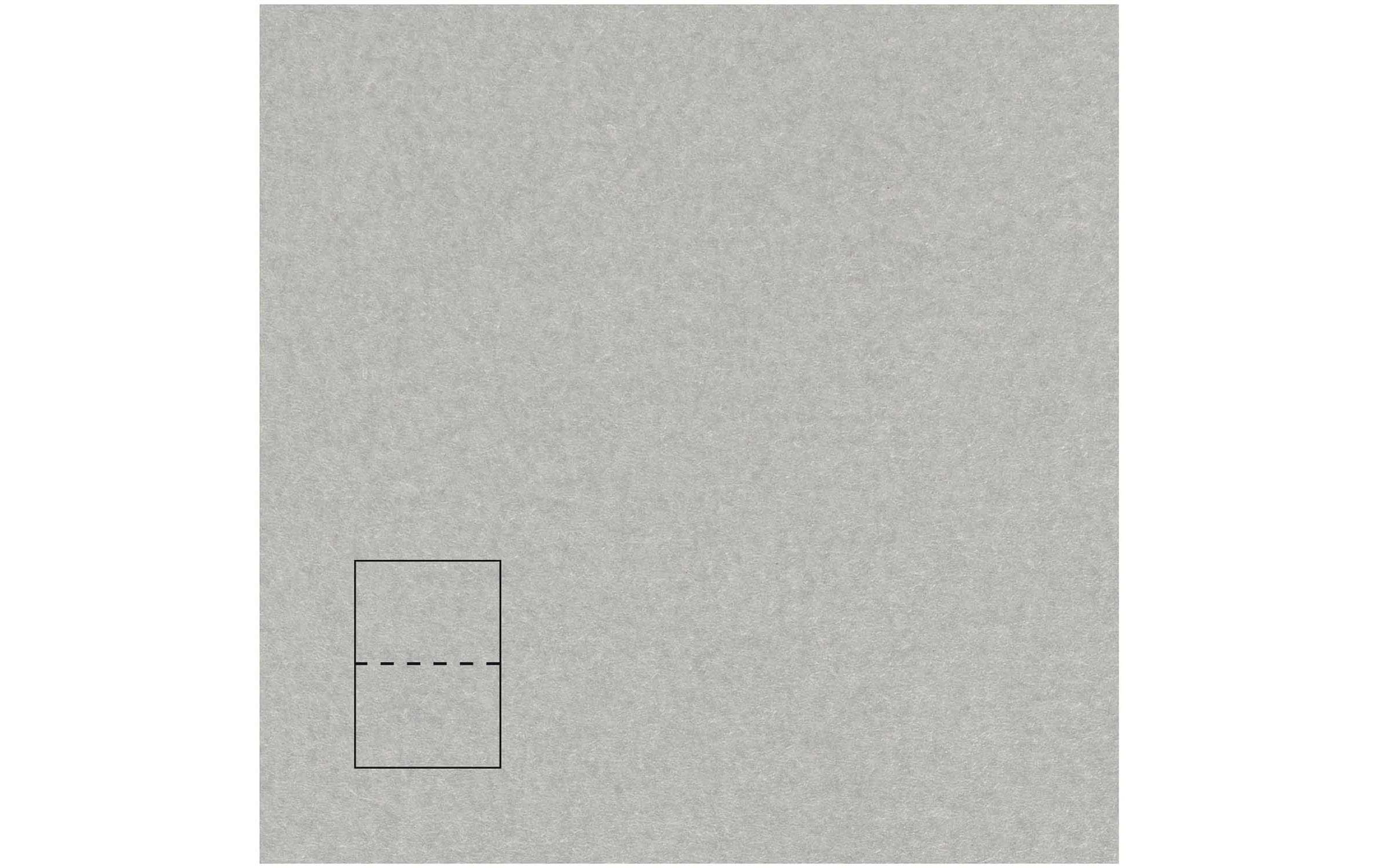 Rico design Klappkarten-Set – B6, 250 g/m² Papier, Silber – 50 Stk