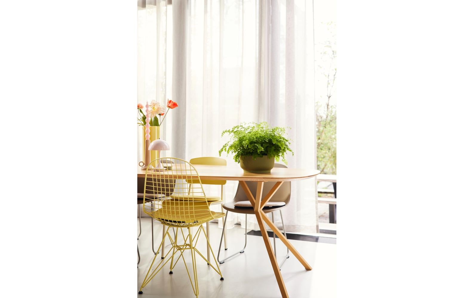 elho Vibes Fold Schale – Kunststoff, Grün – 4,8 l