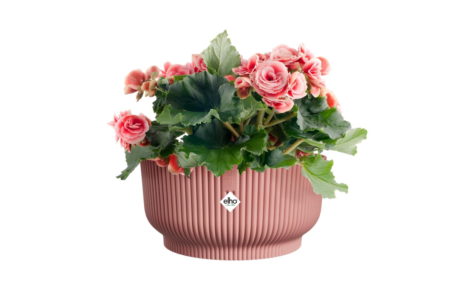 elho Schale – Kunststoff, rosa – Ø 25 × 12 cm