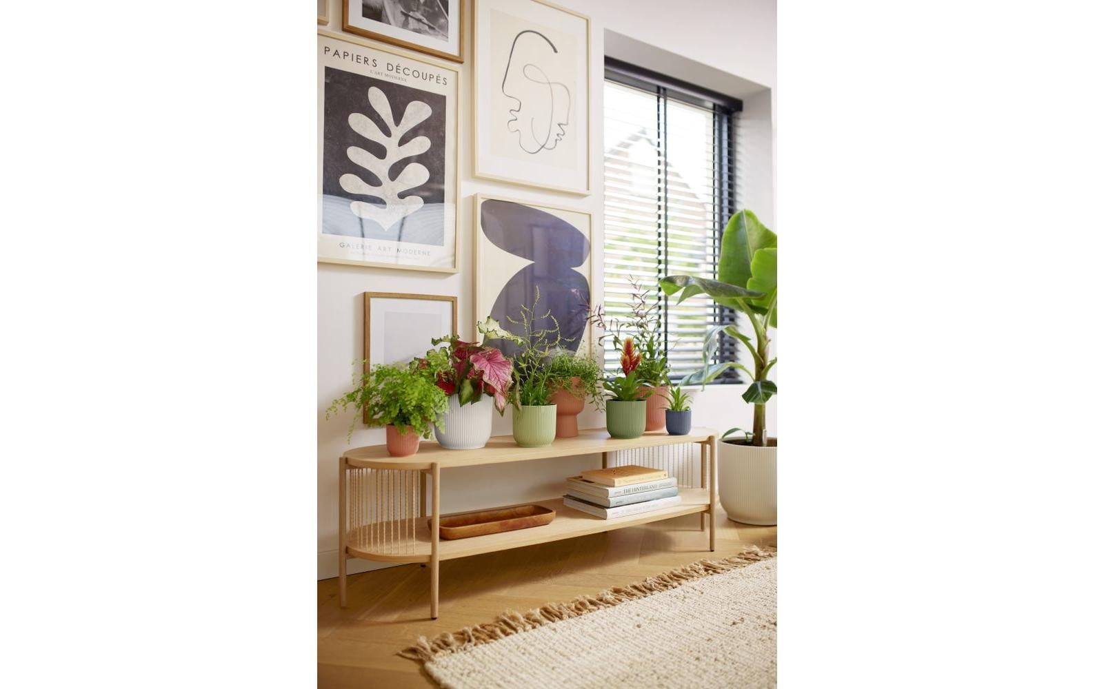 elho Vibes Fold Blumentopf – Ø 30 × 27 cm, 15 l – Kunststoff, Grün