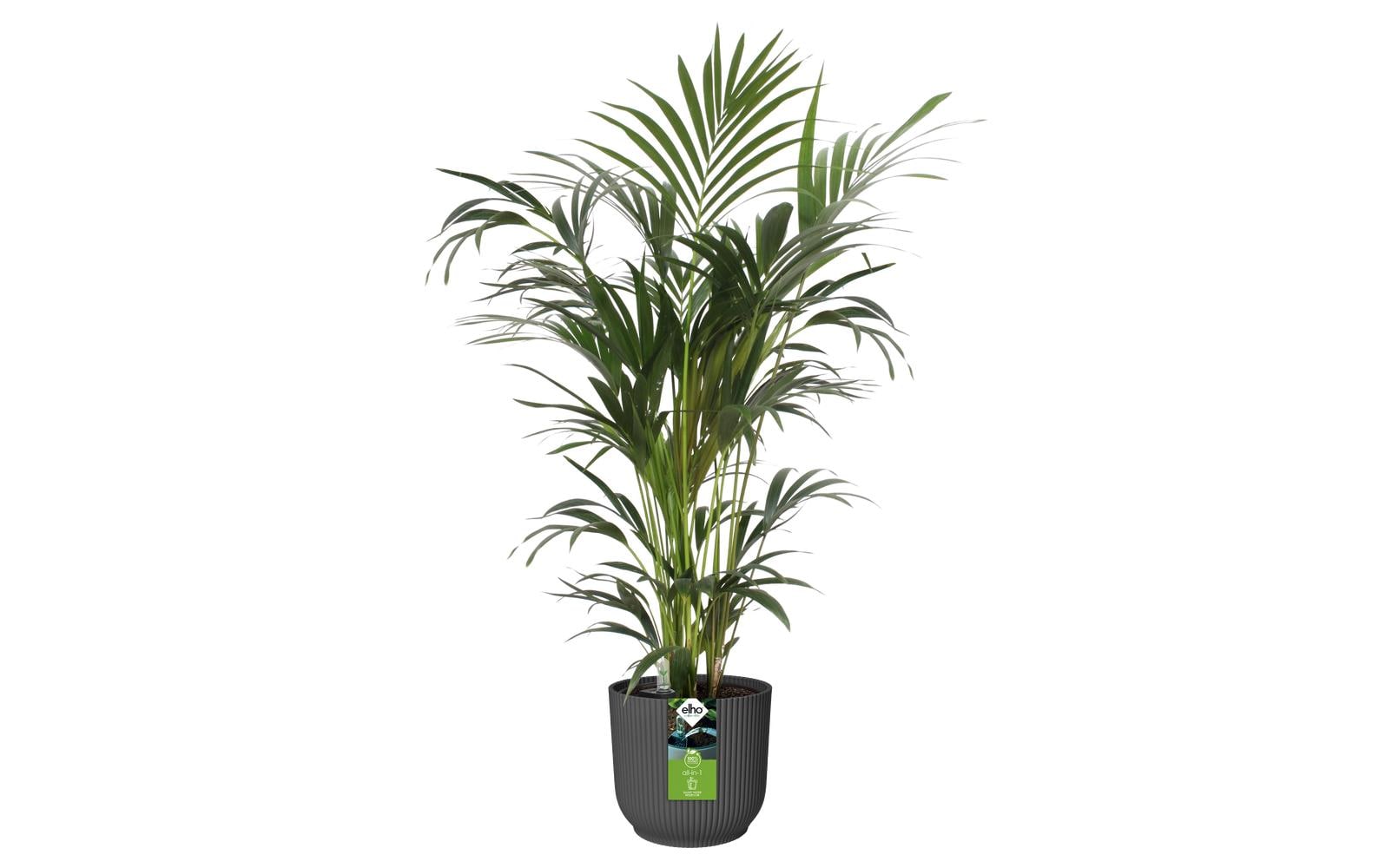 elho Pflanzgefäss – Ø 25 cm, 9200 ml – Kunststoff, Schwarz